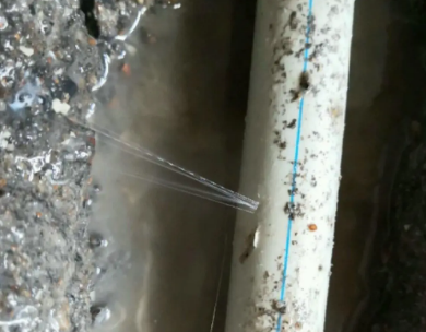 鸡东测漏水哪家好