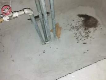 鸡东卫生间测漏水价格明细