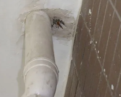 鸡东漏水检测哪家好